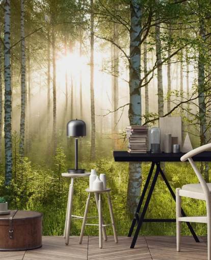groene aanpasbare bosbehangmuurschildering genaamd Birch Forest Sunlight voor slaapkamers en kantoren groene aanpasbare bosbehangmuurschildering genaamd Birch Forest Sunlight voor slaapkamers en kantoren