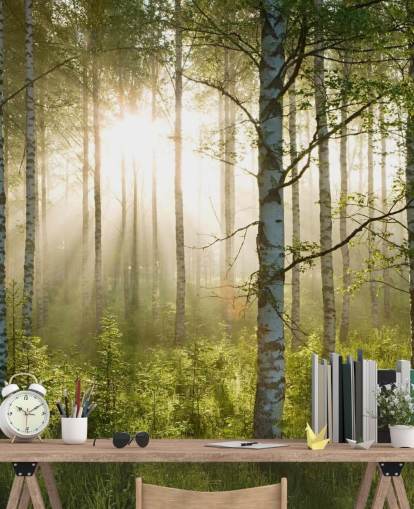 grüne, individuell gestaltbare Waldtapete namens Birch Forest Sunlight für Schlafzimmer und Büros