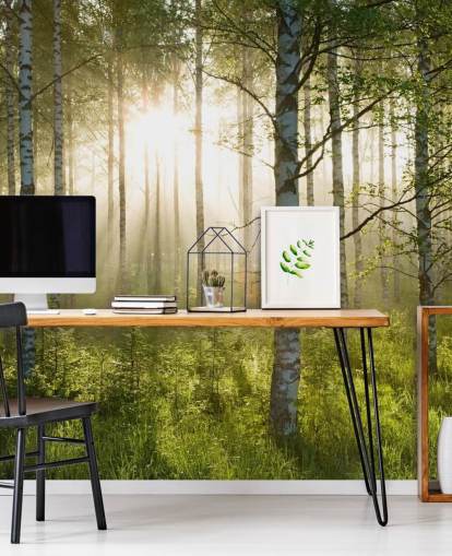 grønt tilpassbart skogtapet veggmaleri kalt Birch Forest Sunlight for soverom og kontorer
