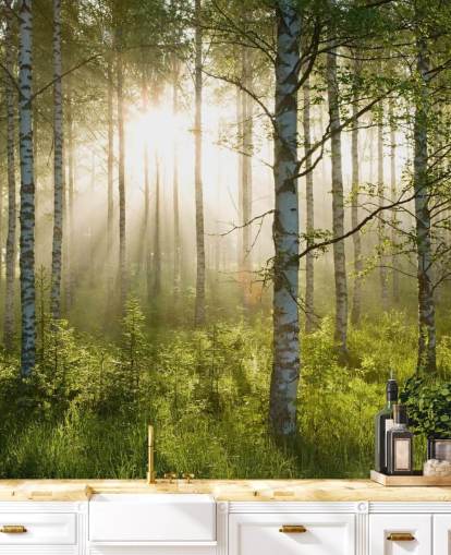 grüne, individuell gestaltbare Waldtapete namens Birch Forest Sunlight für Schlafzimmer und Büros