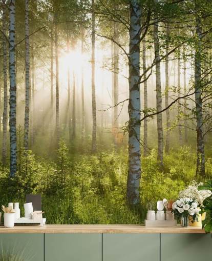 groene aanpasbare bosbehangmuurschildering genaamd Birch Forest Sunlight voor slaapkamers en kantoren