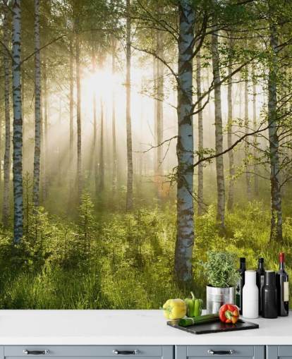 grønt tilpasseligt skovtapet vægmaleri kaldet Birch Forest Sunlight til soveværelser og kontorer