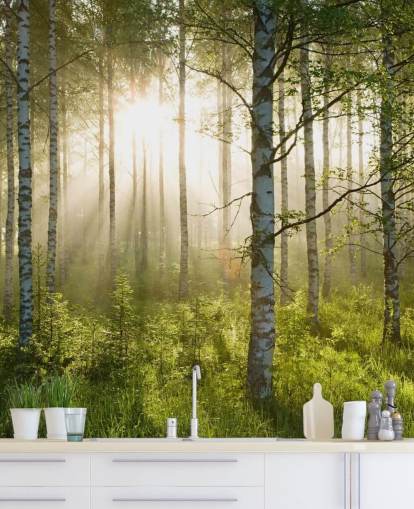 papier peint mural vert personnalisable en forme de forêt appelé Birch Forest Sunlight pour les chambres et les bureaux