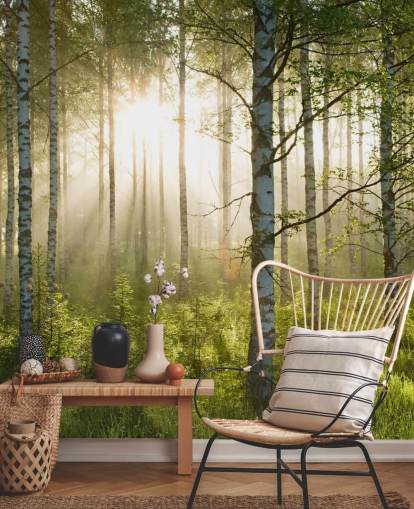grön anpassningsbar skogstapetväggmålning kallad Birch Forest Sunlight för sovrum och kontor