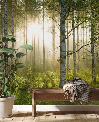 grønt tilpassbart skogtapet veggmaleri kalt Birch Forest Sunlight for soverom og kontorer grønt tilpassbart skogtapet veggmaleri kalt Birch Forest Sunlight for soverom og kontorer