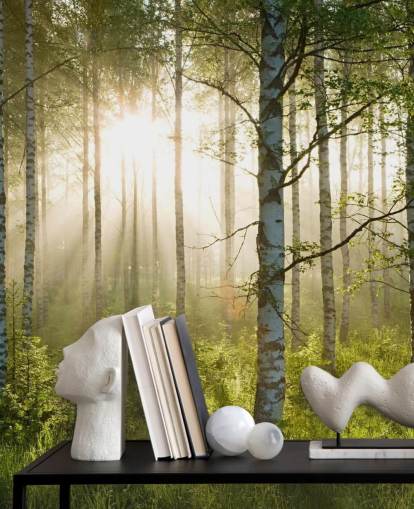 mural de papel de parede florestal verde personalizável chamado Birch Forest Sunlight para quartos e escritórios mural de papel de parede florestal verde personalizável chamado Birch Forest Sunlight para quartos e escritórios