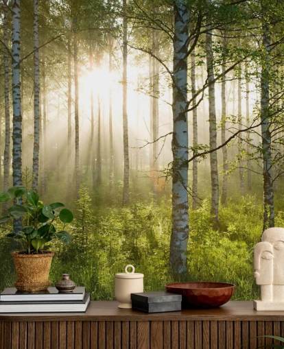 grønt tilpasseligt skovtapet vægmaleri kaldet Birch Forest Sunlight til soveværelser og kontorer