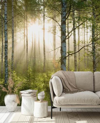 vihreä muokattava metsätaustakuvamaalaus nimeltä Birch Forest Sunlight makuuhuoneisiin ja toimistoihin