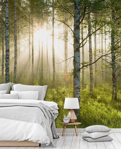 grüne, individuell gestaltbare Waldtapete namens Birch Forest Sunlight für Schlafzimmer und Büros