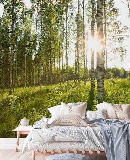 Birch Tree Wallpaper