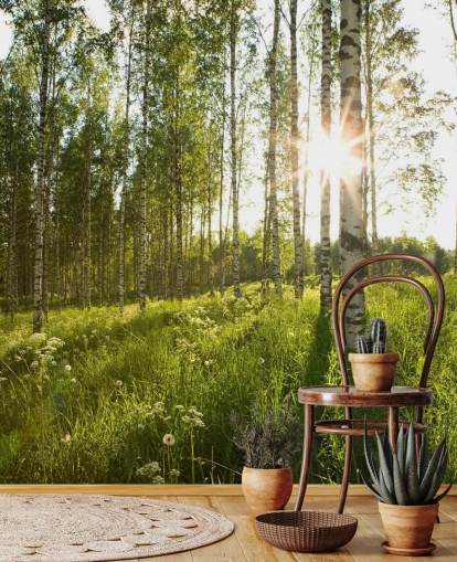 Birch Tree Wallpaper