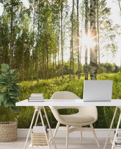 Birch Tree Wallpaper