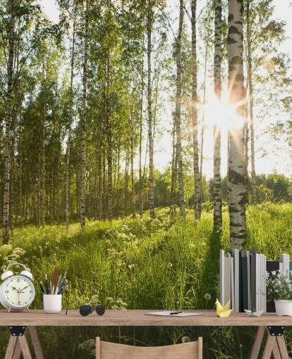 Carta da parati con betulla