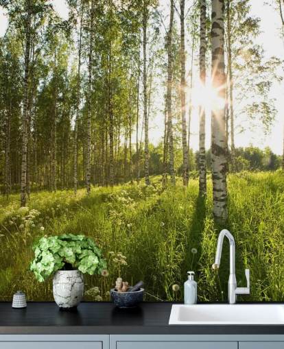 Birch Tree Wallpaper