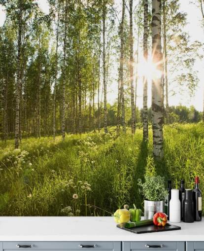 Birch Tree Wallpaper Birch Tree Wallpaper