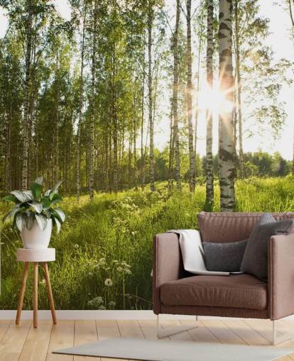 Papier peint Birch Tree