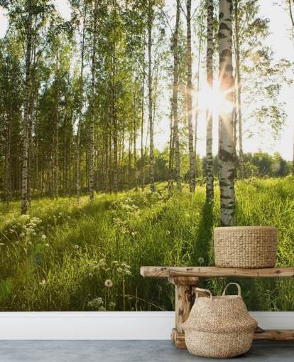 Birch Tree Wallpaper Birch Tree Wallpaper