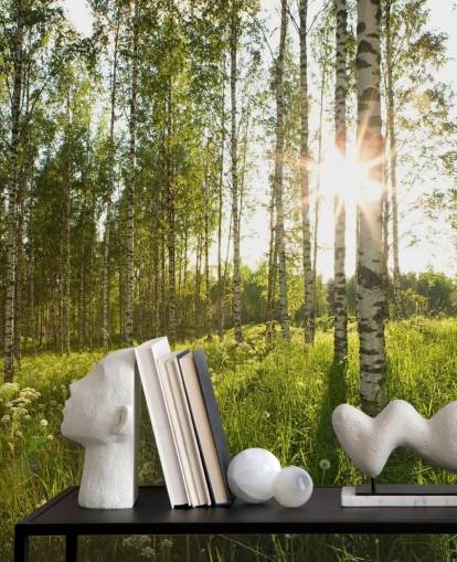 Birch Tree Wallpaper