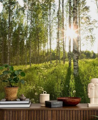 Birch Tree Wallpaper Birch Tree Wallpaper