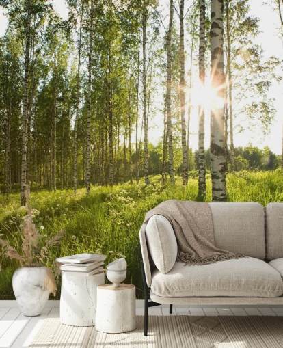 Birch Tree Wallpaper Birch Tree Wallpaper