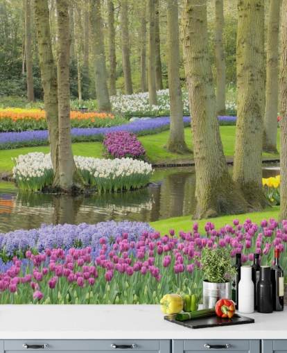 Farbenfrohe Tulpen Park Fototapete Farbenfrohe Tulpen Park Fototapete