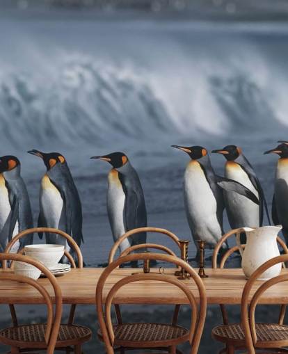 Penguins Queuing Up Wallpaper