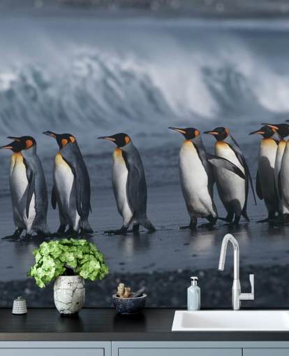 Penguins Queuing Up Wallpaper Penguins Queuing Up Wallpaper
