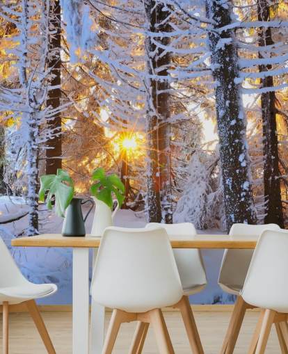 Parede de árvores cobertas de neve