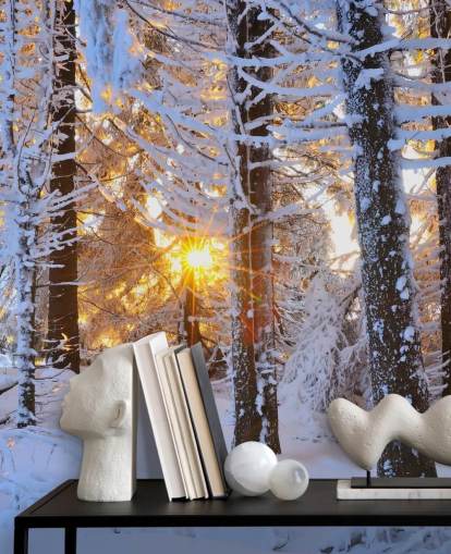 Parede de árvores cobertas de neve