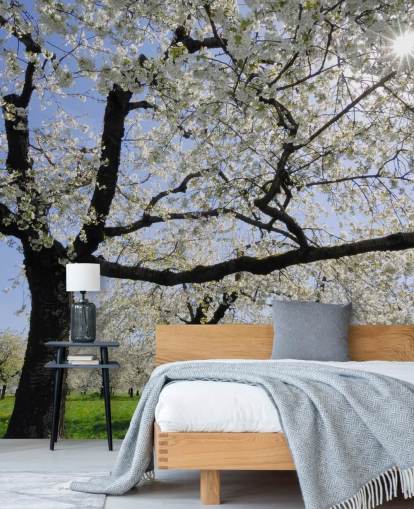 Murales de pared Cerezos