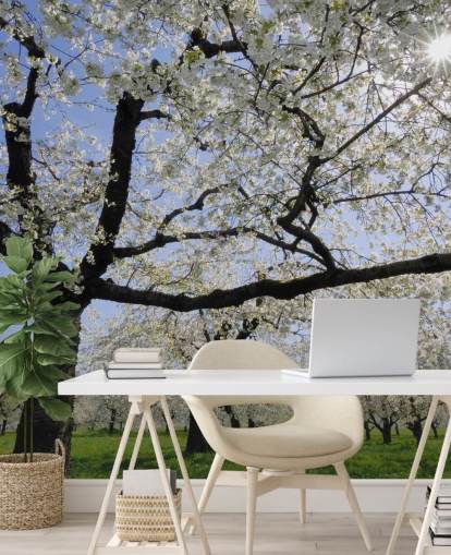 Kirsebærtræer Vægmalerier Kirsebærtræer Vægmalerier