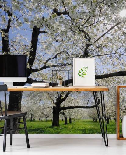 Murales con alberi di ciliegio