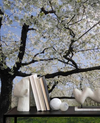 Cherry Trees Wall Murals Cherry Trees Wall Murals