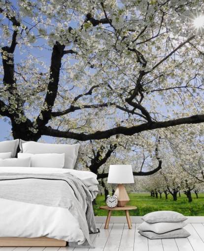 Körsbärsträd Väggmålningar