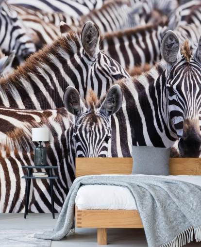 Zebra Group Baggrund Zebra Group Baggrund