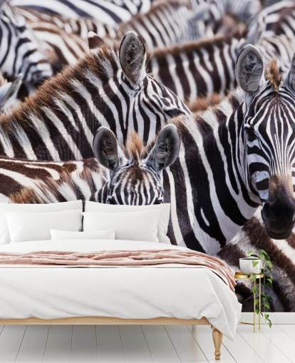 Papel pintado Zebra Group