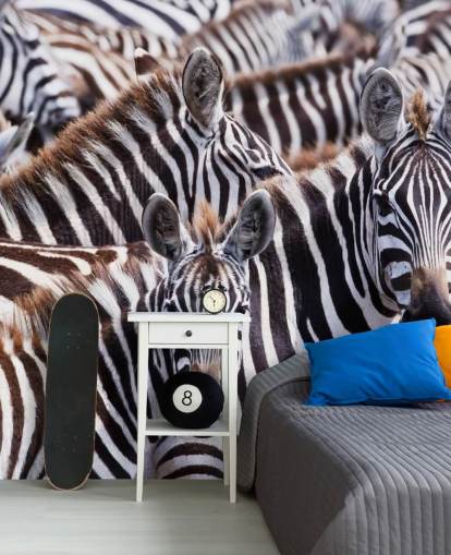 Zebra Group Hintergrundbild