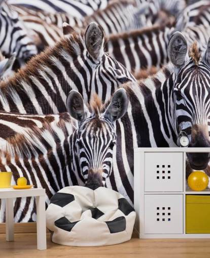 Papel pintado Zebra Group