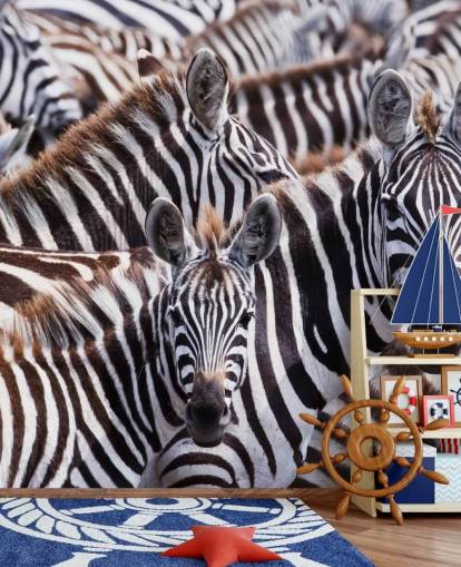 Papier peint Zebra Group