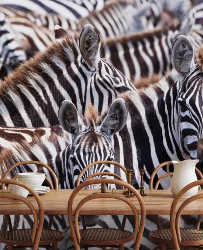 Sfondo Zebra Group