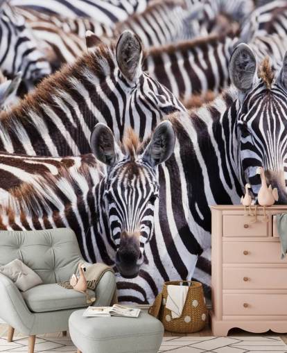 Papel de Parede Zebra