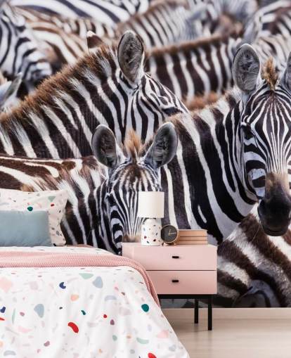 Zebra Group Hintergrundbild Zebra Group Hintergrundbild