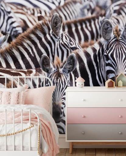 Zebra Group Hintergrundbild