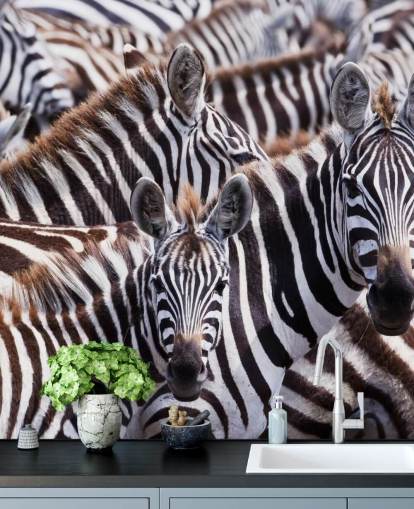 Papel pintado Zebra Group