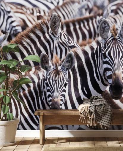 Sfondo Zebra Group