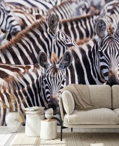 Papier peint Zebra Group