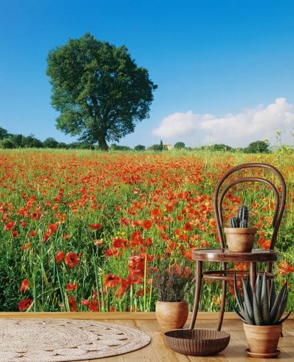 Fond d'écran de Coquelicots par une journée ensoleillée