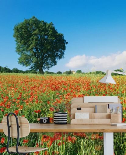 Fond d'écran de Coquelicots par une journée ensoleillée Fond d'écran de Coquelicots par une journée ensoleillée