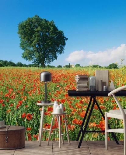 Poppy Field on a Sunny Day Wallpaper