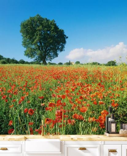 Poppy Field op een zonnige dag behang Poppy Field op een zonnige dag behang